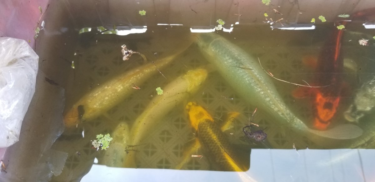 20190522_165104.jpg