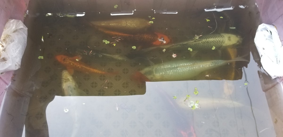 20190522_165129.jpg