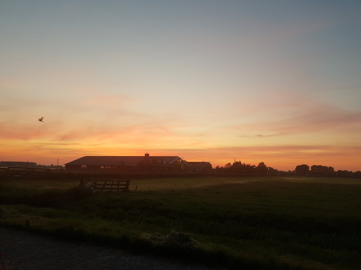 20190523_215951.jpg