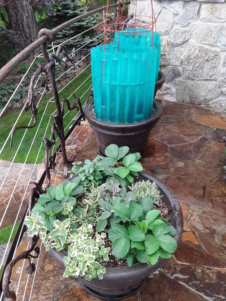20190524_093430.jpg