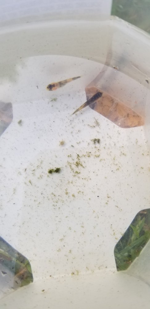 20190525_182812.jpg