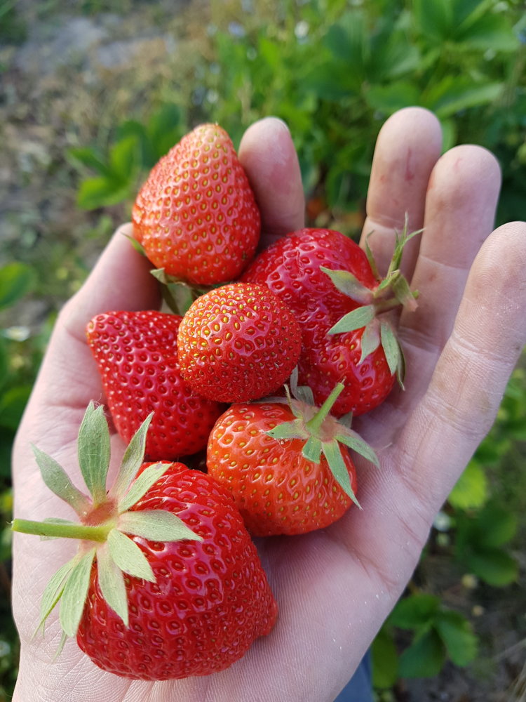 20190525_203217.jpg