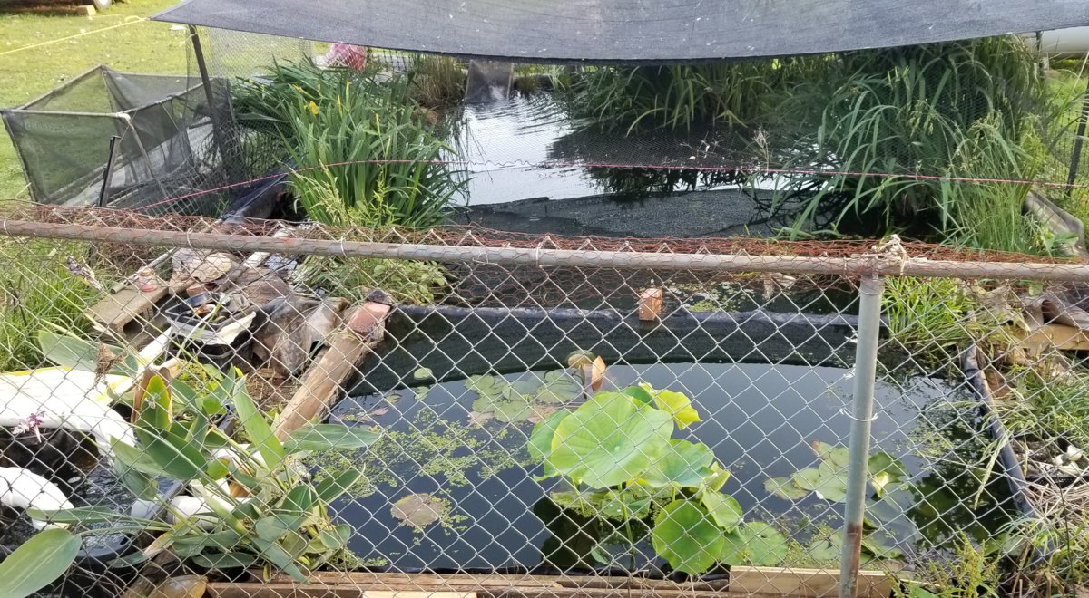 20190528_190432.jpg