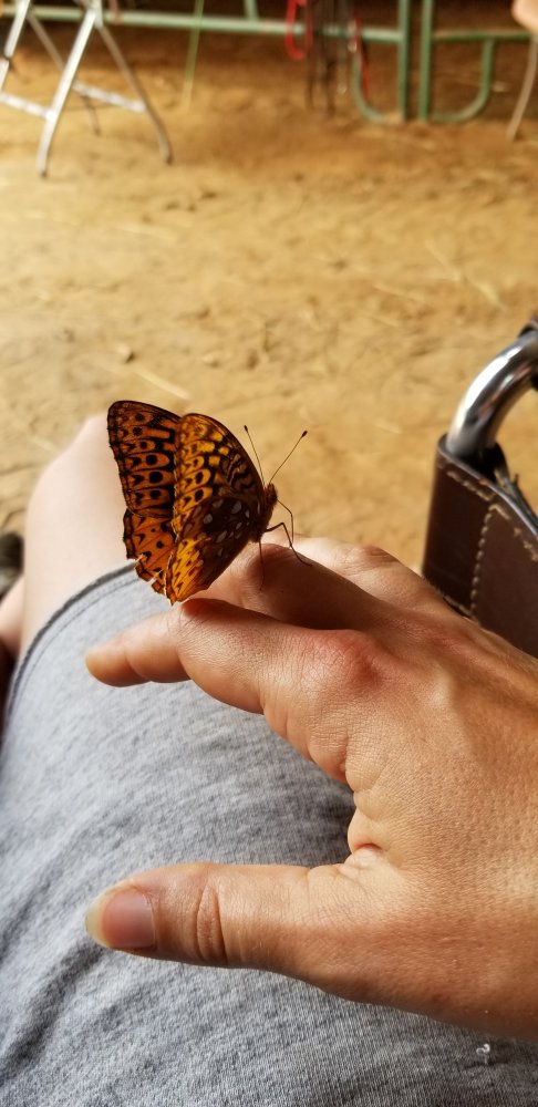 20190530_140518.jpg
