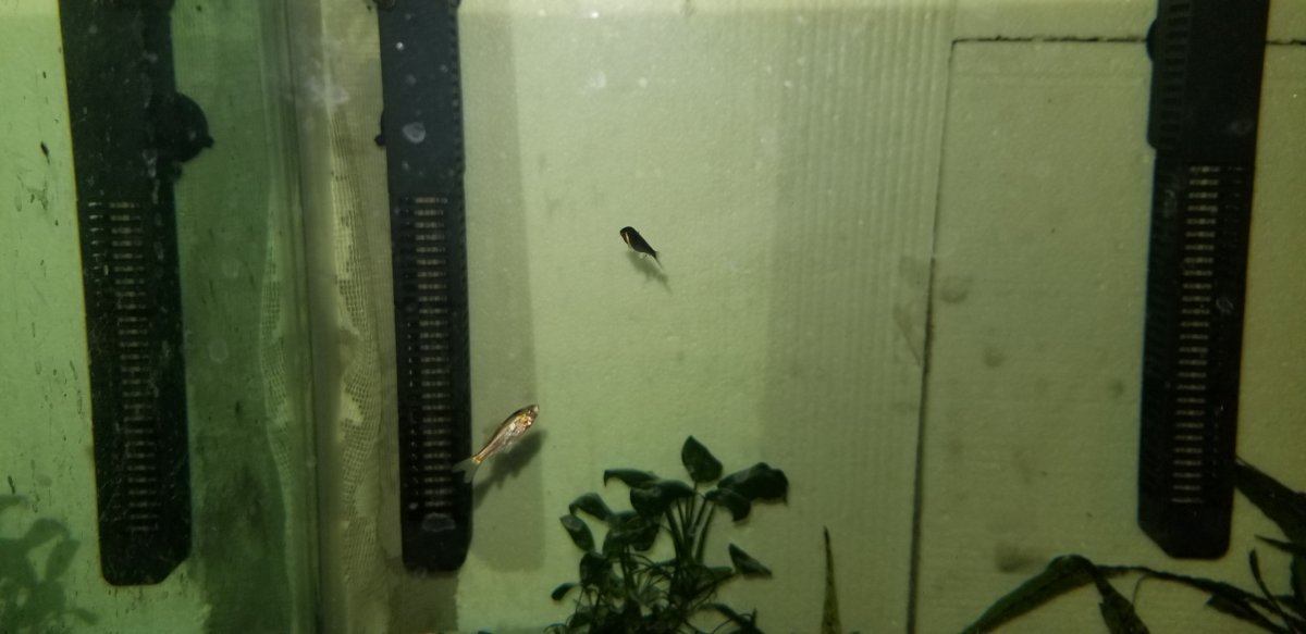 20190603_145323.jpg