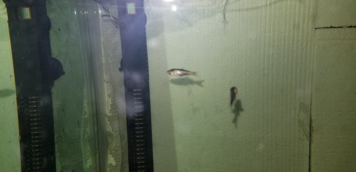 20190603_145326.jpg