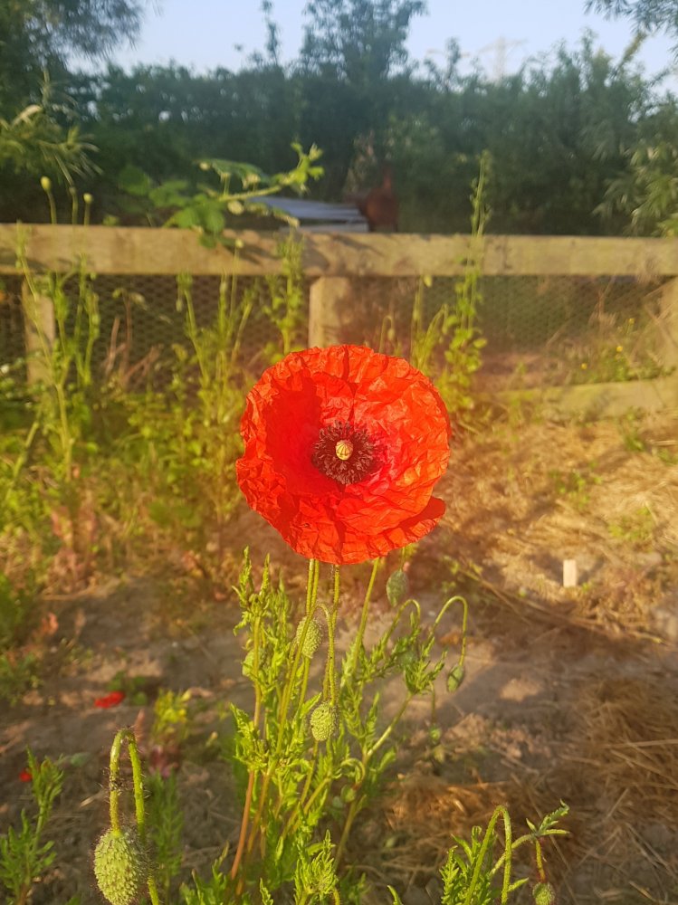 20190604_082422.jpg