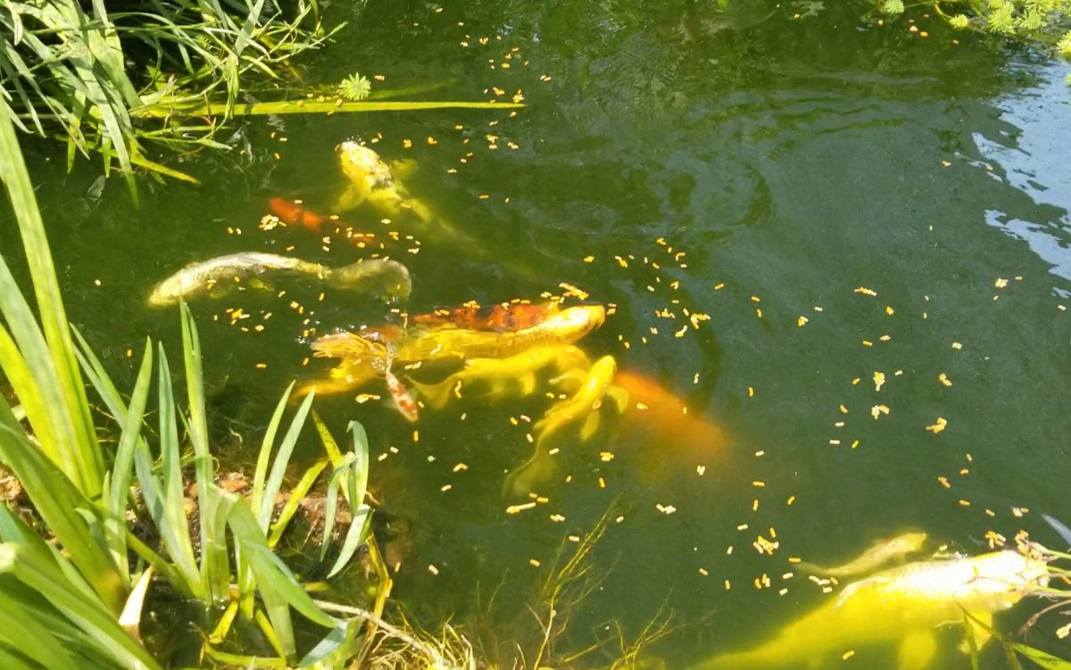 20190612_123900.jpg