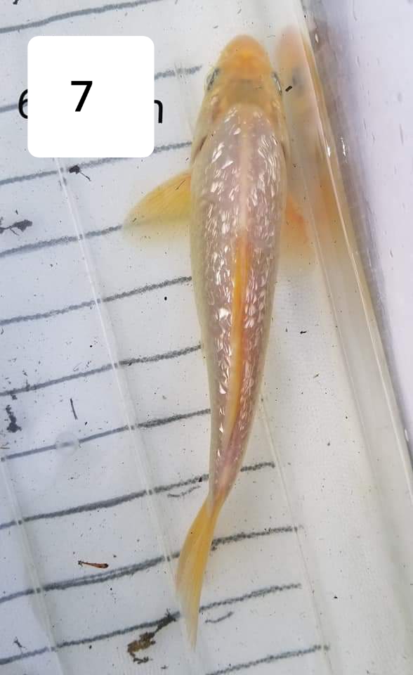20190612_124909.jpg
