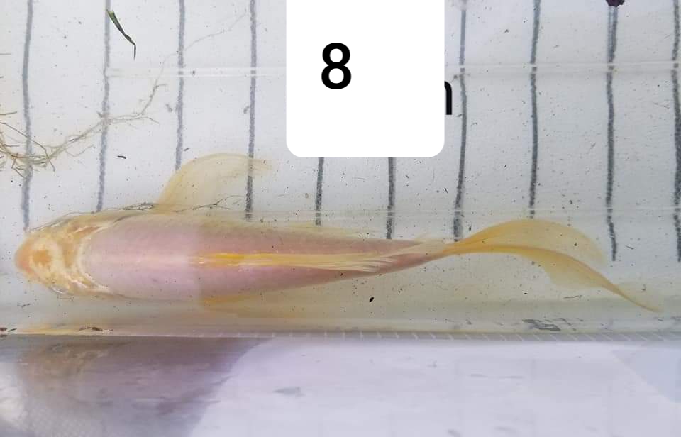 20190612_124921.jpg