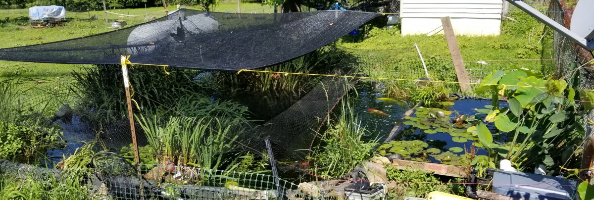 20190626_112316.jpg