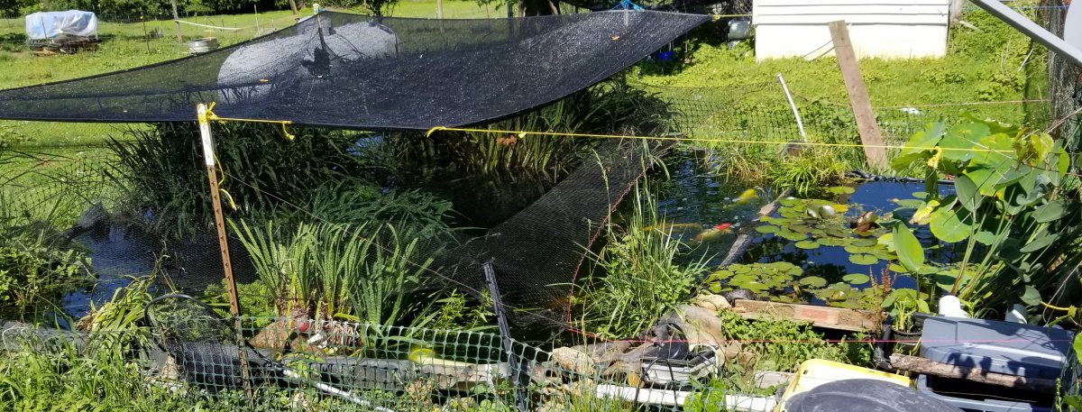 20190626_112347.jpg