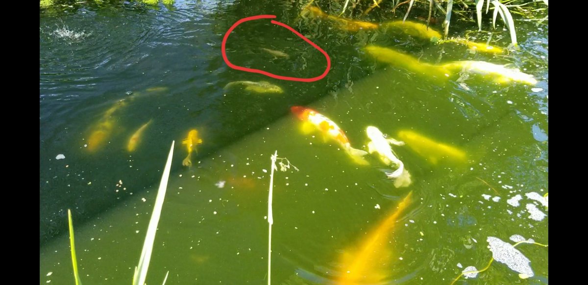 20190626_112649.jpg