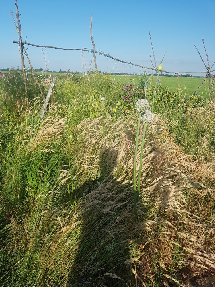 20190626_191148.jpg
