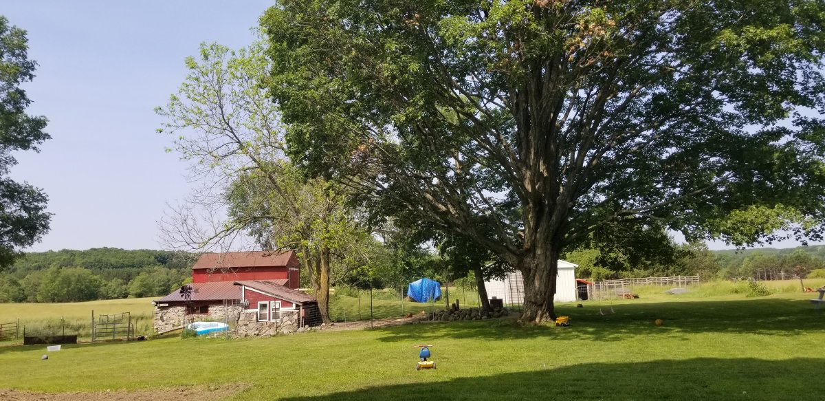 20190709_115200.jpg
