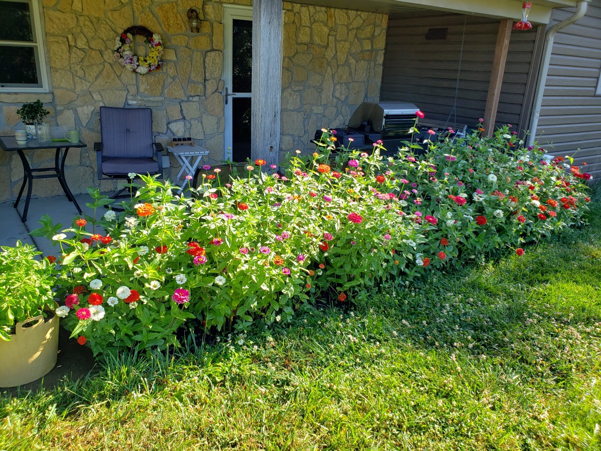 20190712_094610.jpg