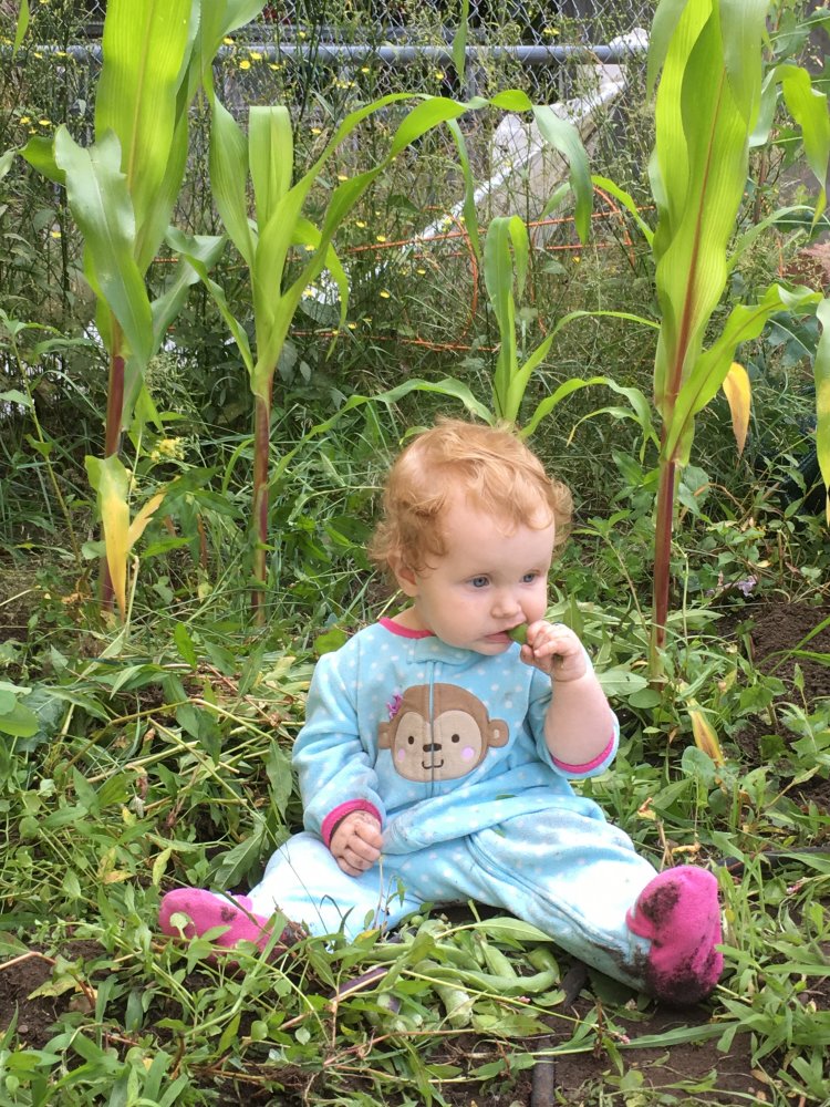 20190714_180345133_iOS.jpg