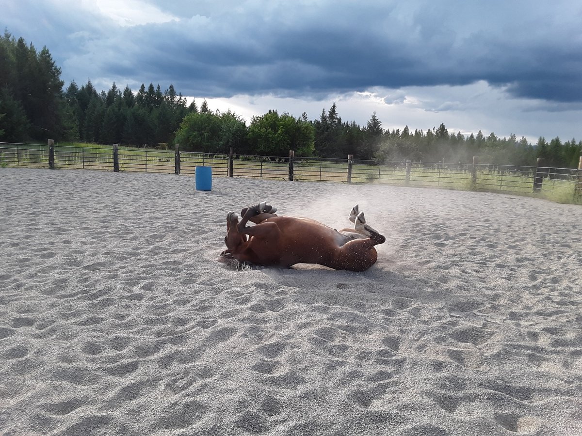 20190716_181429.jpg