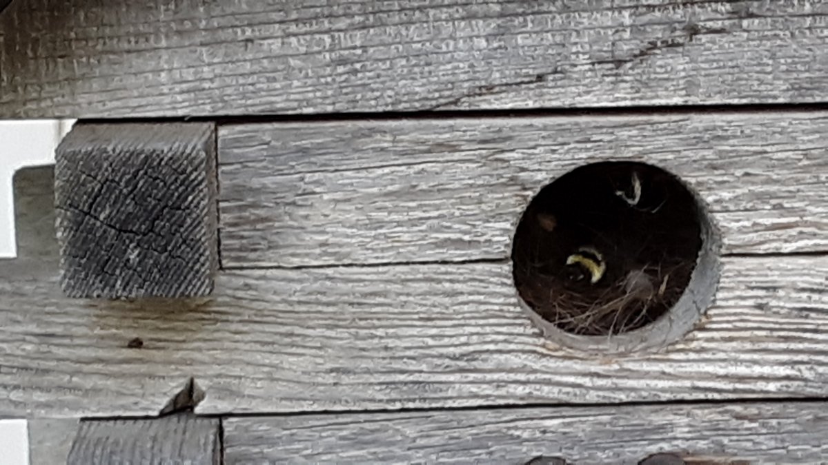20190723_180437.jpg