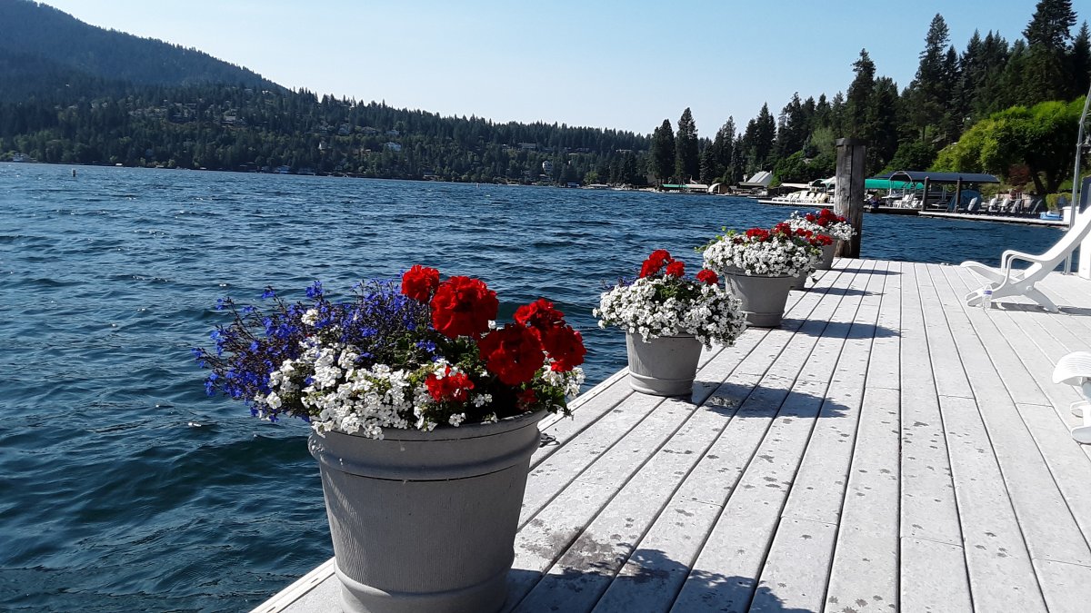 20190730_094445.jpg