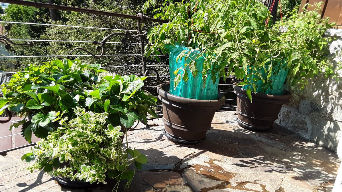 20190730_100835.jpg