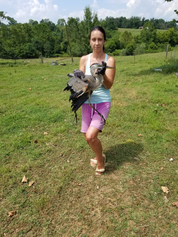 20190807_124607.jpg
