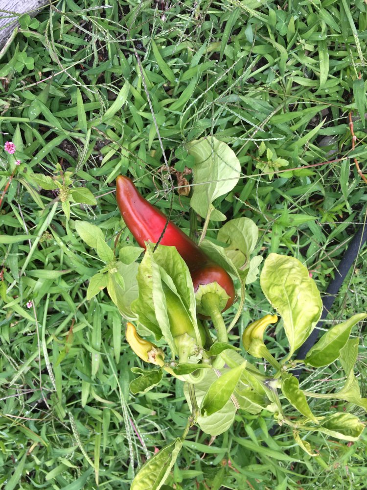 20190807_191916082_iOS.jpg