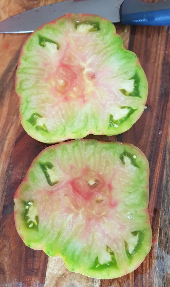 20190822_192526.jpg