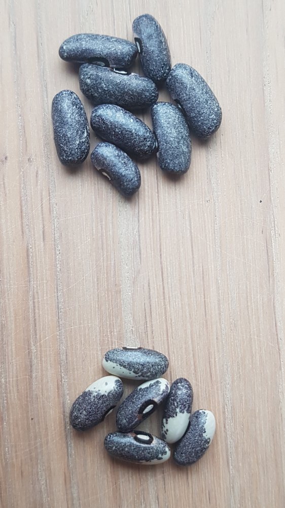 20190831_193903.jpg