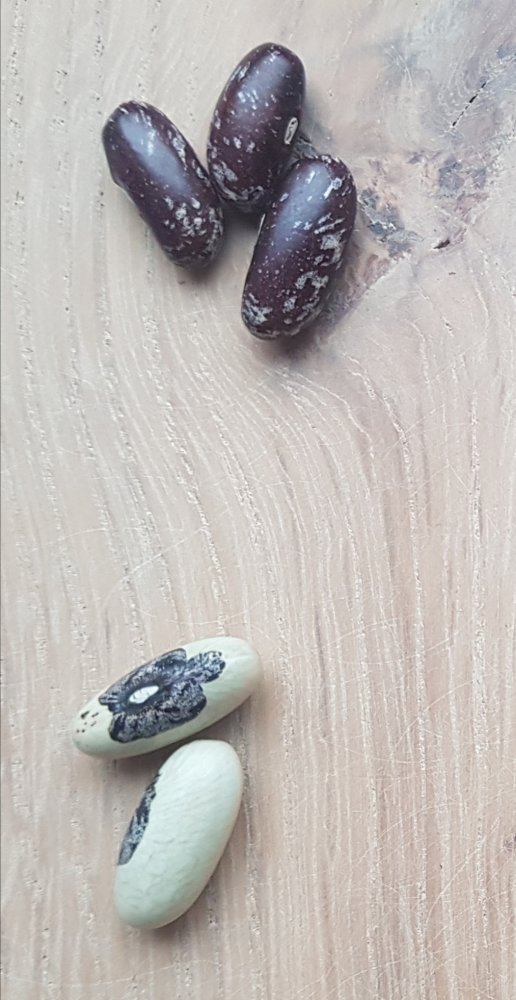 20190831_194827.jpg
