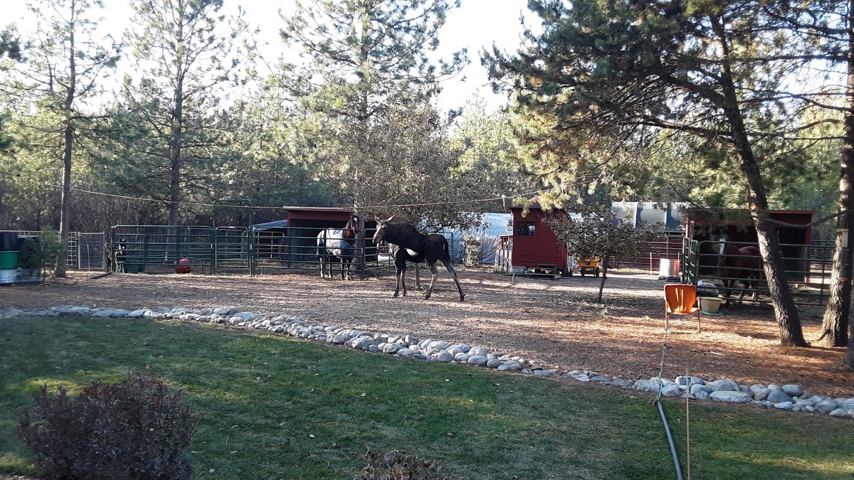 20191031_153357.jpg