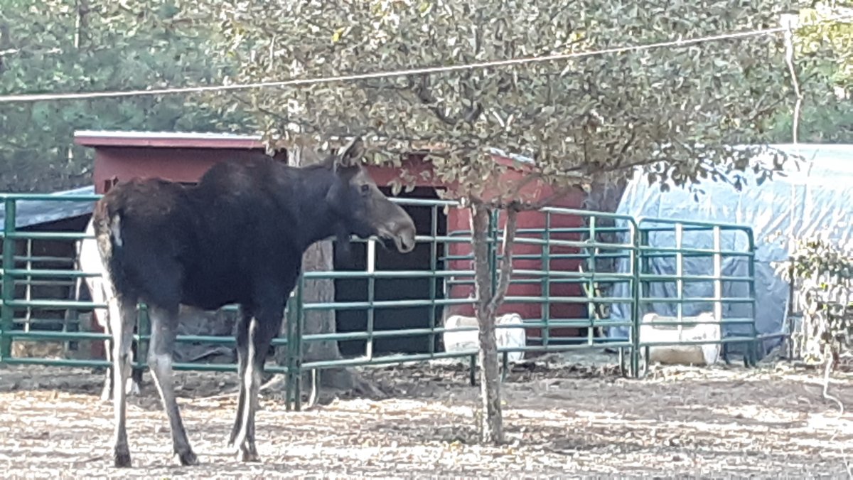 20191031_153439.jpg