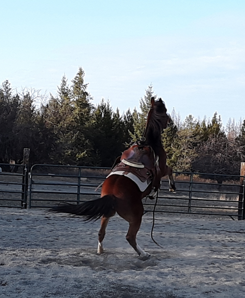 20191130_170743.jpg