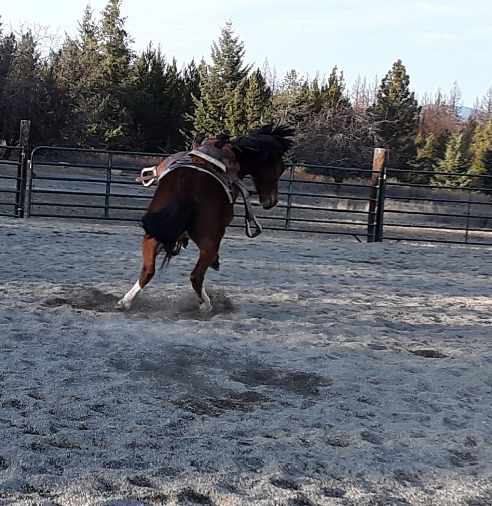 20191130_170844.jpg