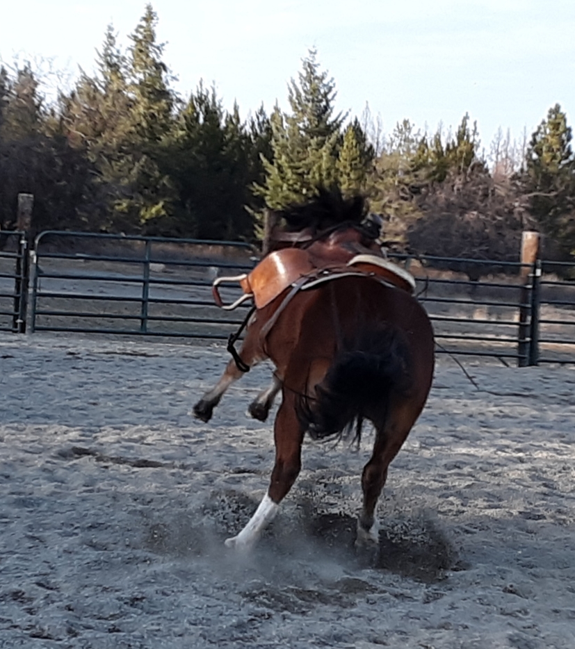 20191130_170938(1).jpg