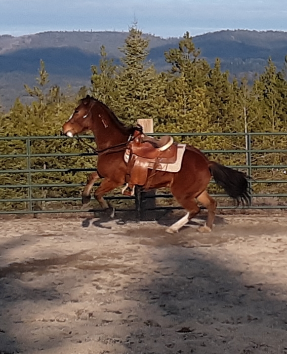 20191130_171246.jpg