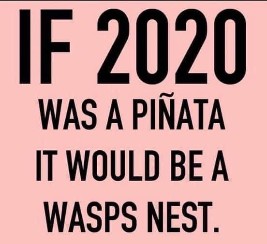 2020 wasp nest.jpg