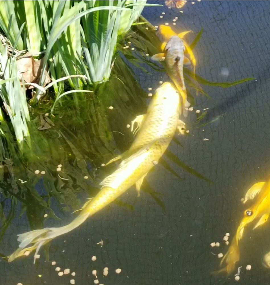 20200330_151706.jpg