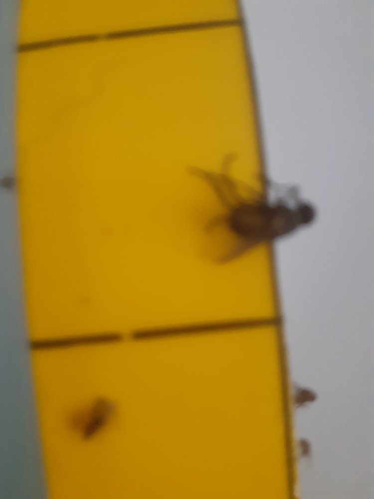 20200828_172859.jpg