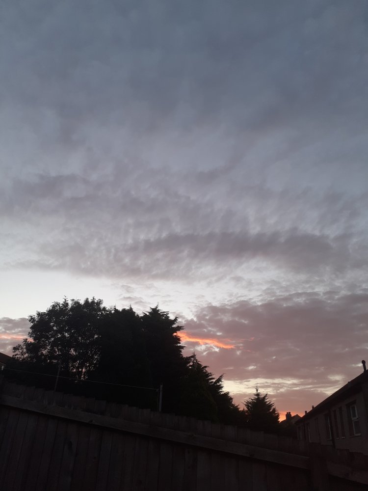 20200902_062442.jpg