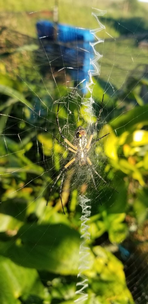 20200905_183303.jpg