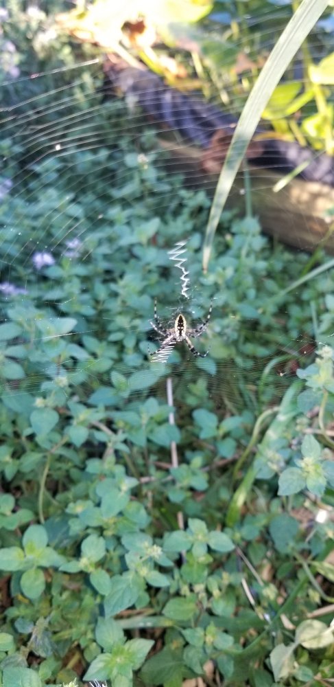 20200905_183326.jpg