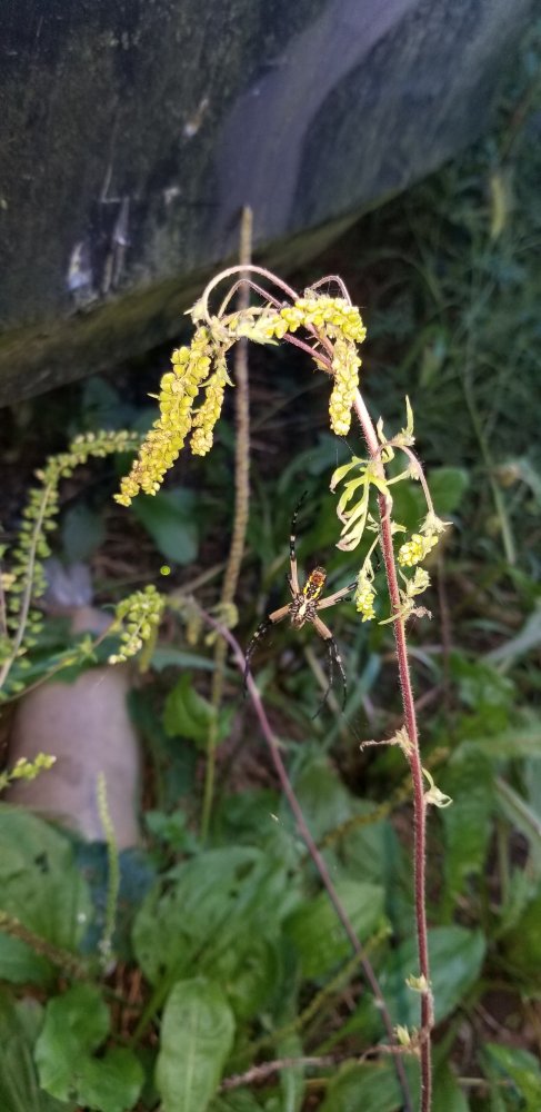 20200905_183455.jpg