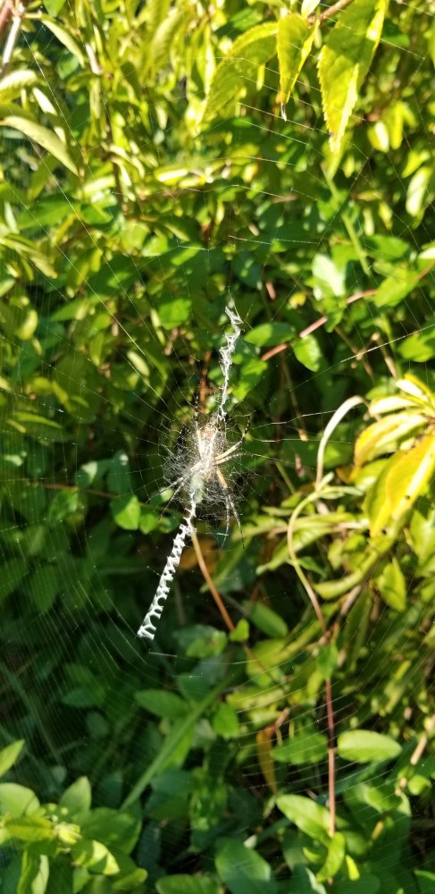 20200905_183548.jpg