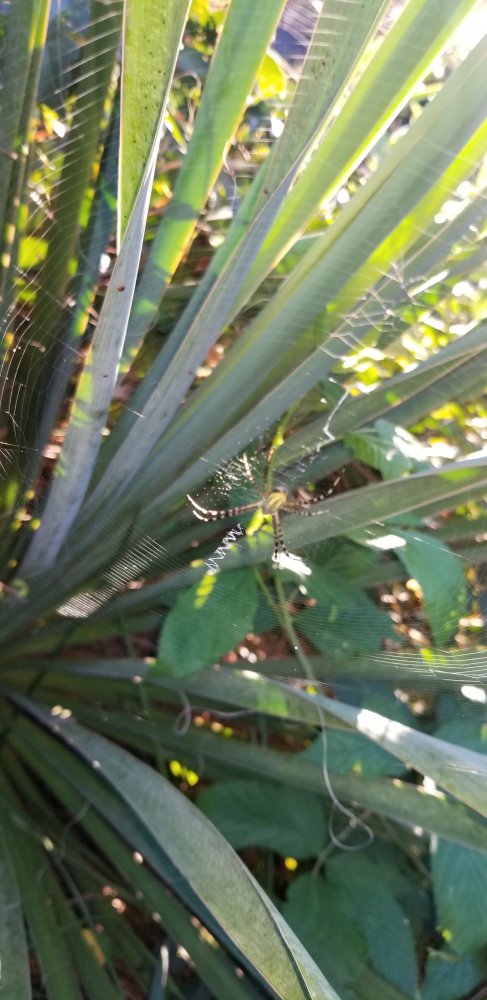 20200905_183714.jpg