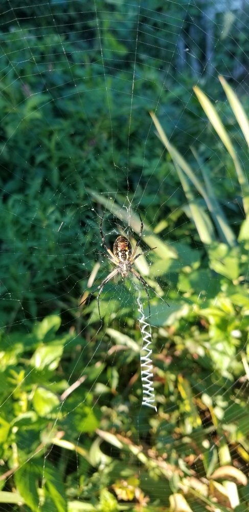 20200905_183803.jpg