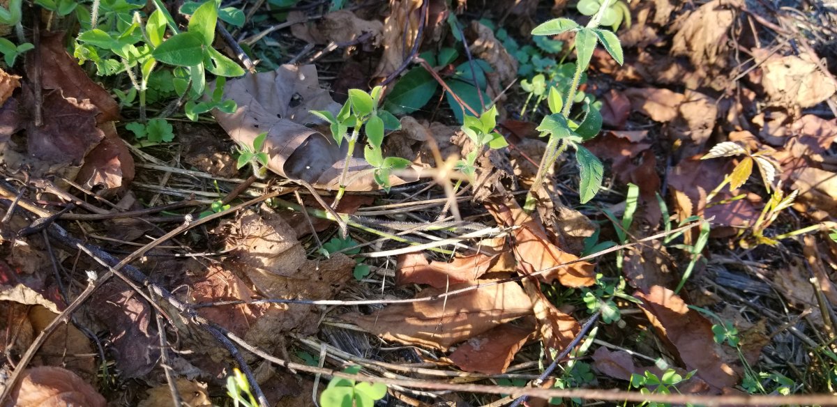 20200905_183831.jpg