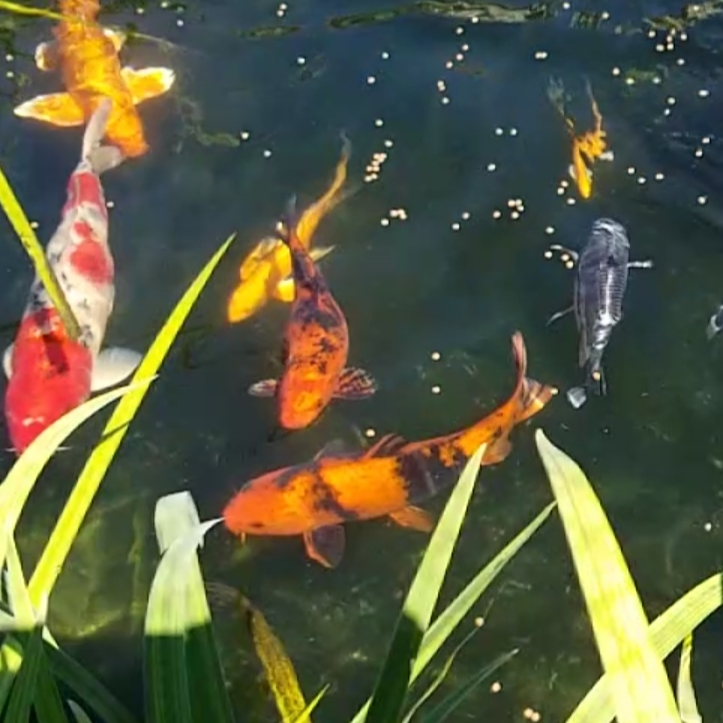20200920_130935.jpg