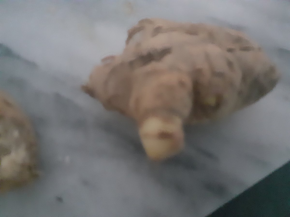 20200920_131857.jpg
