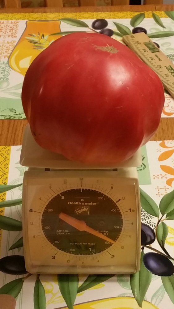 20200928_231321.jpg